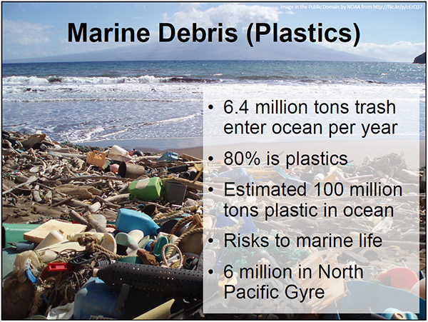 screen shot from marine debris presentation